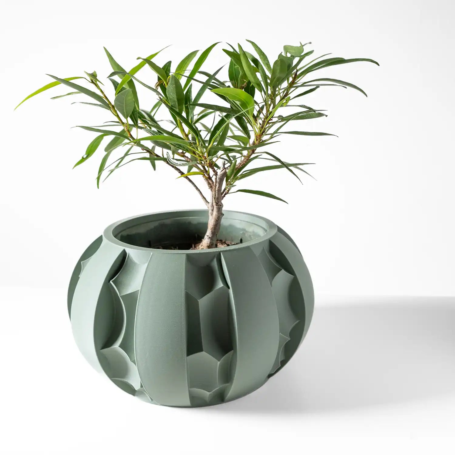 ROCK Planter