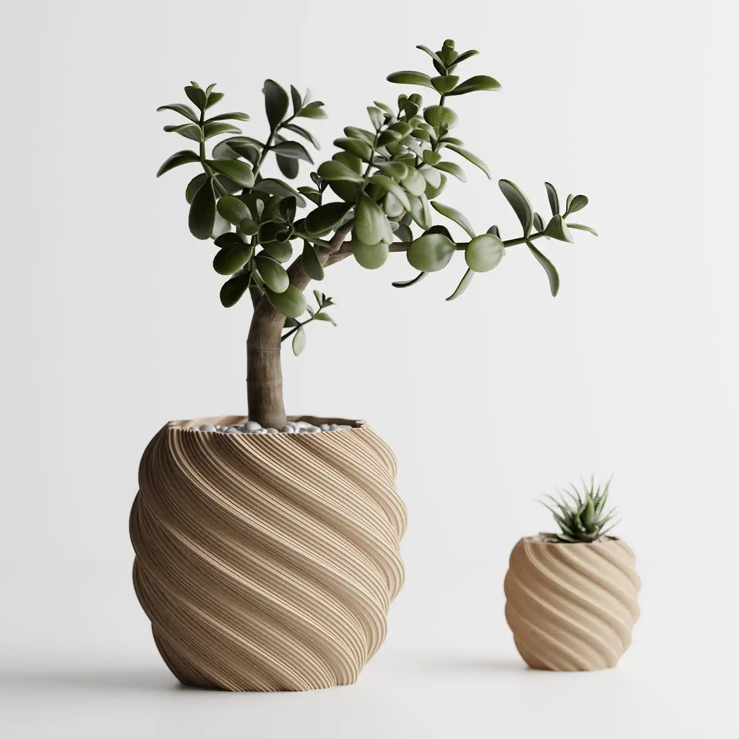 🌿 ZOG planter