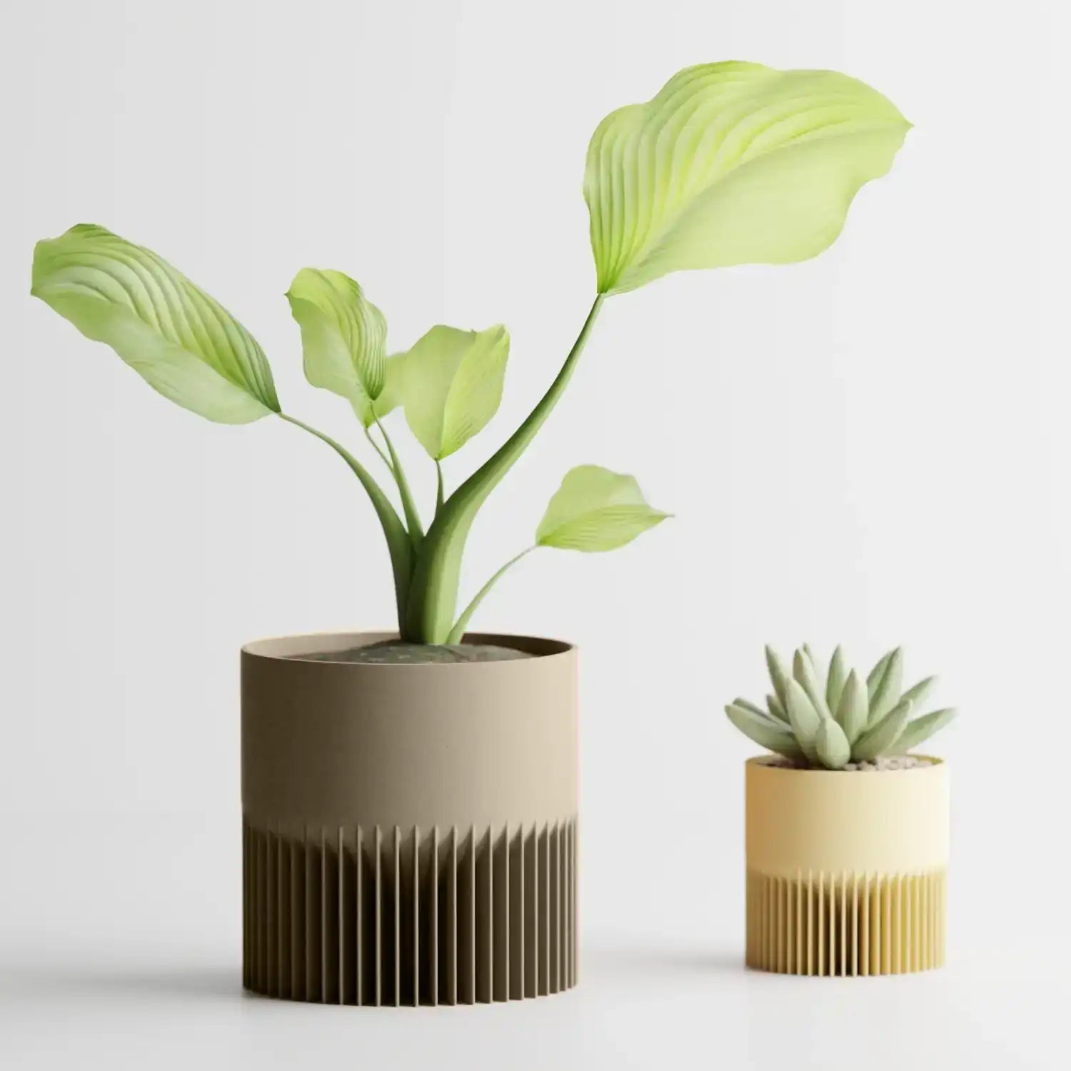 CYA Plant Pot