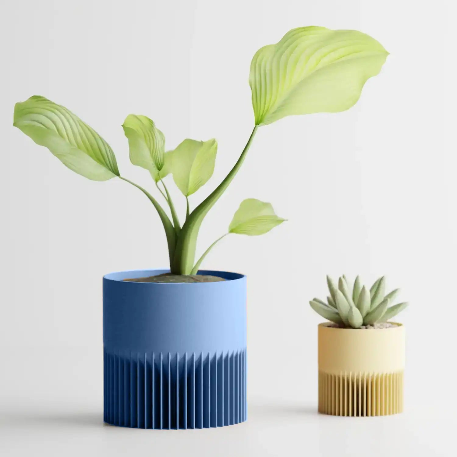 CYA Plant Pot