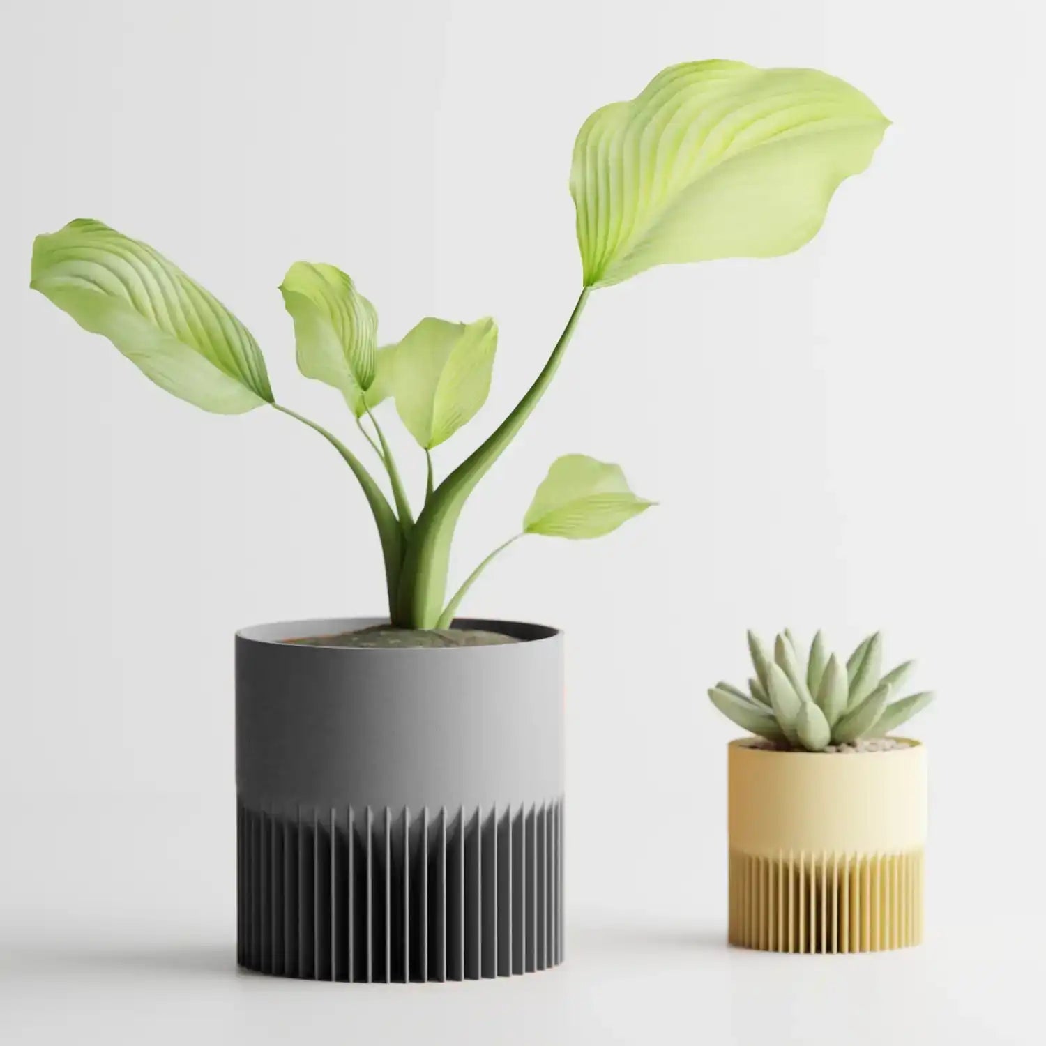 CYA Plant Pot