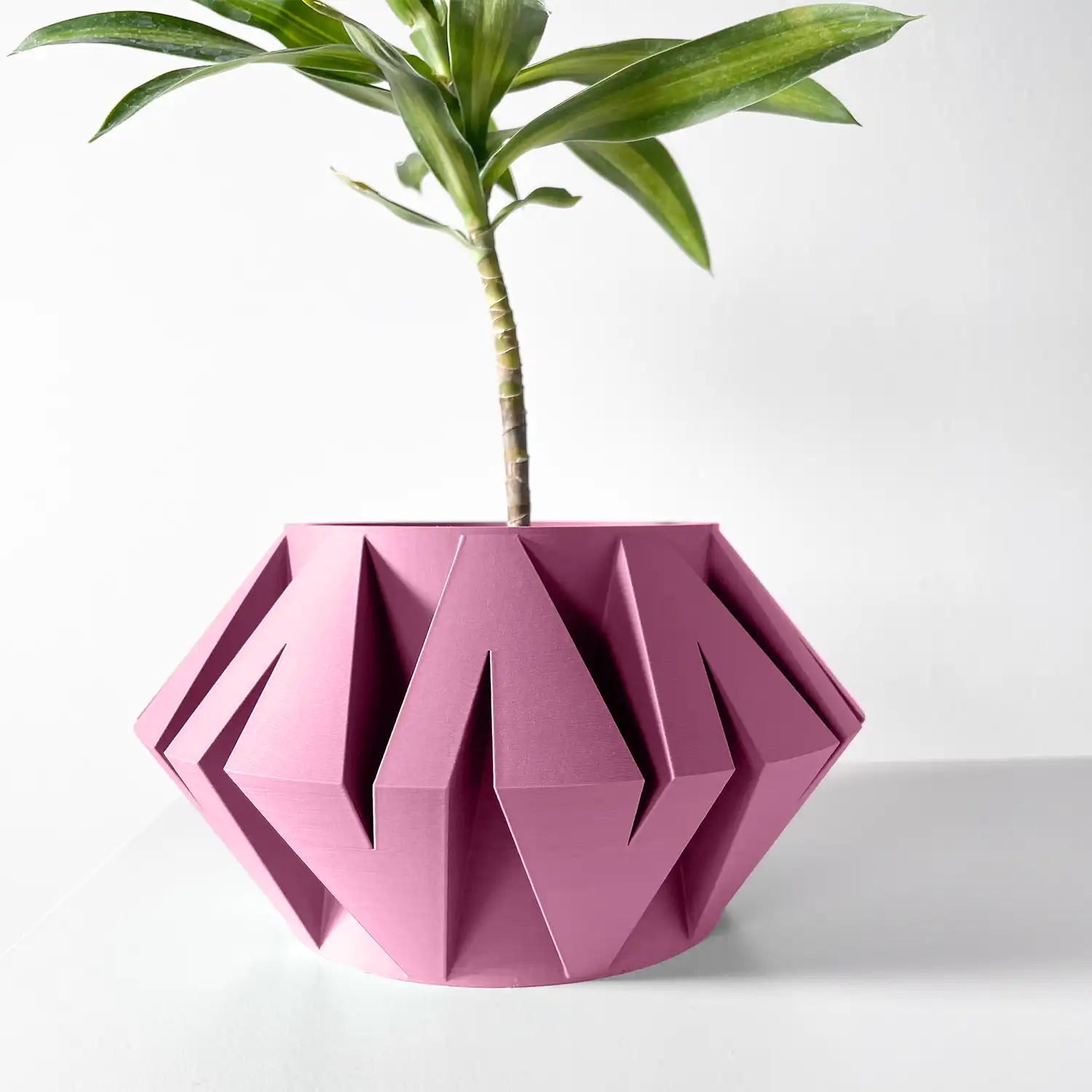 LIO Plant Pot