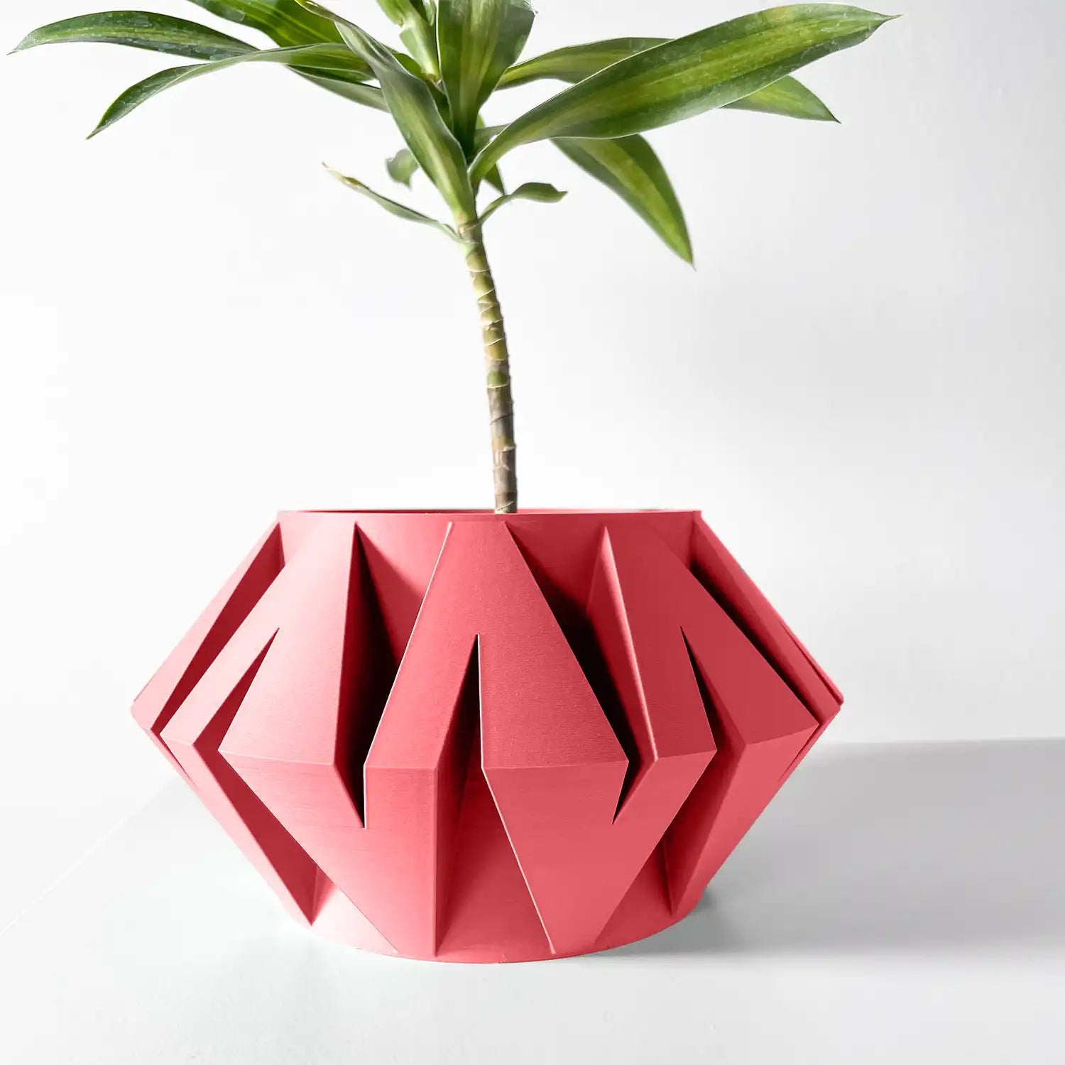LIO Plant Pot