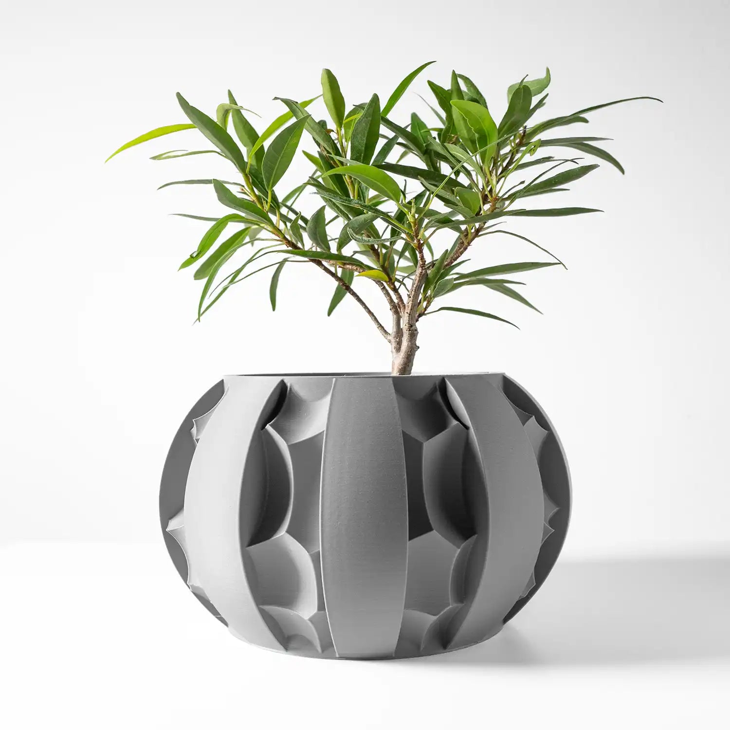 ROCK Planter