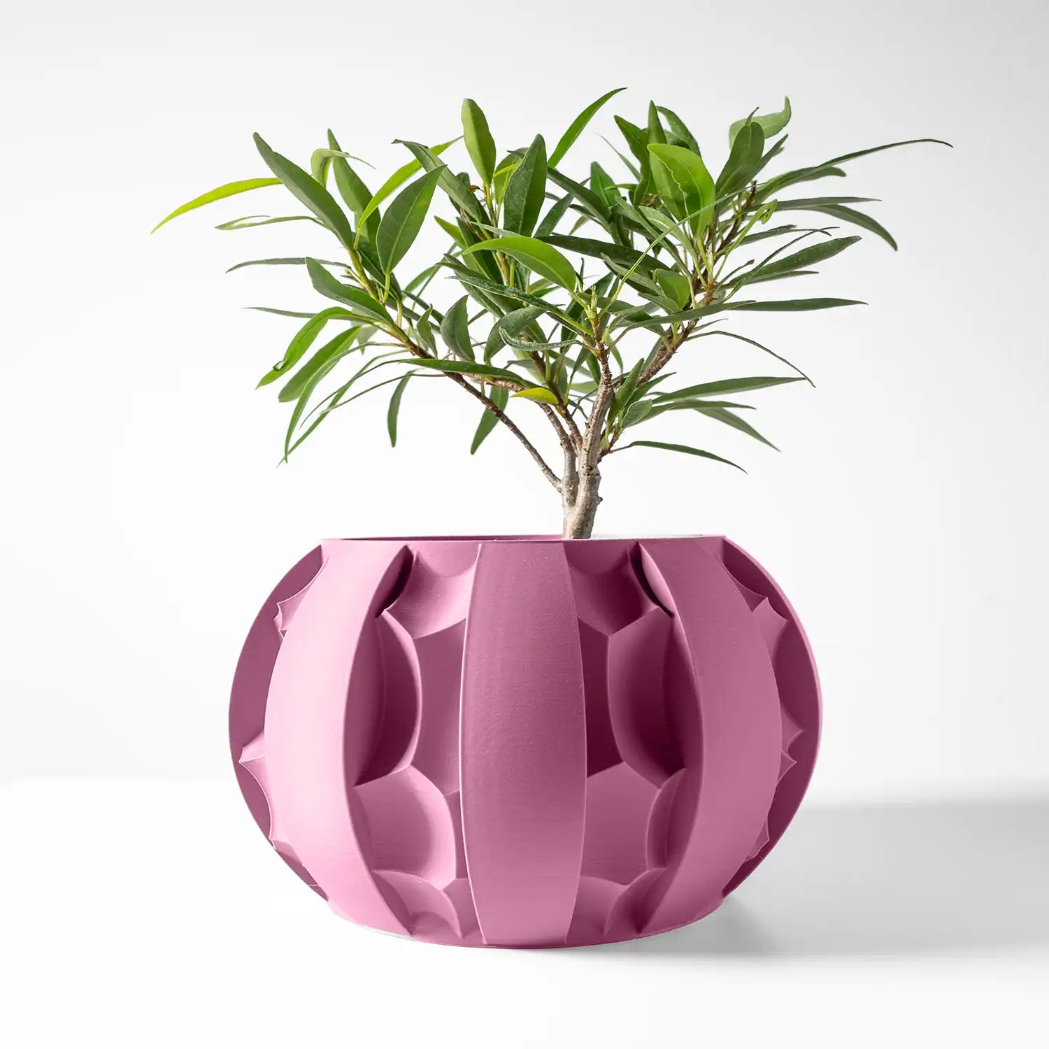 ROCK Planter