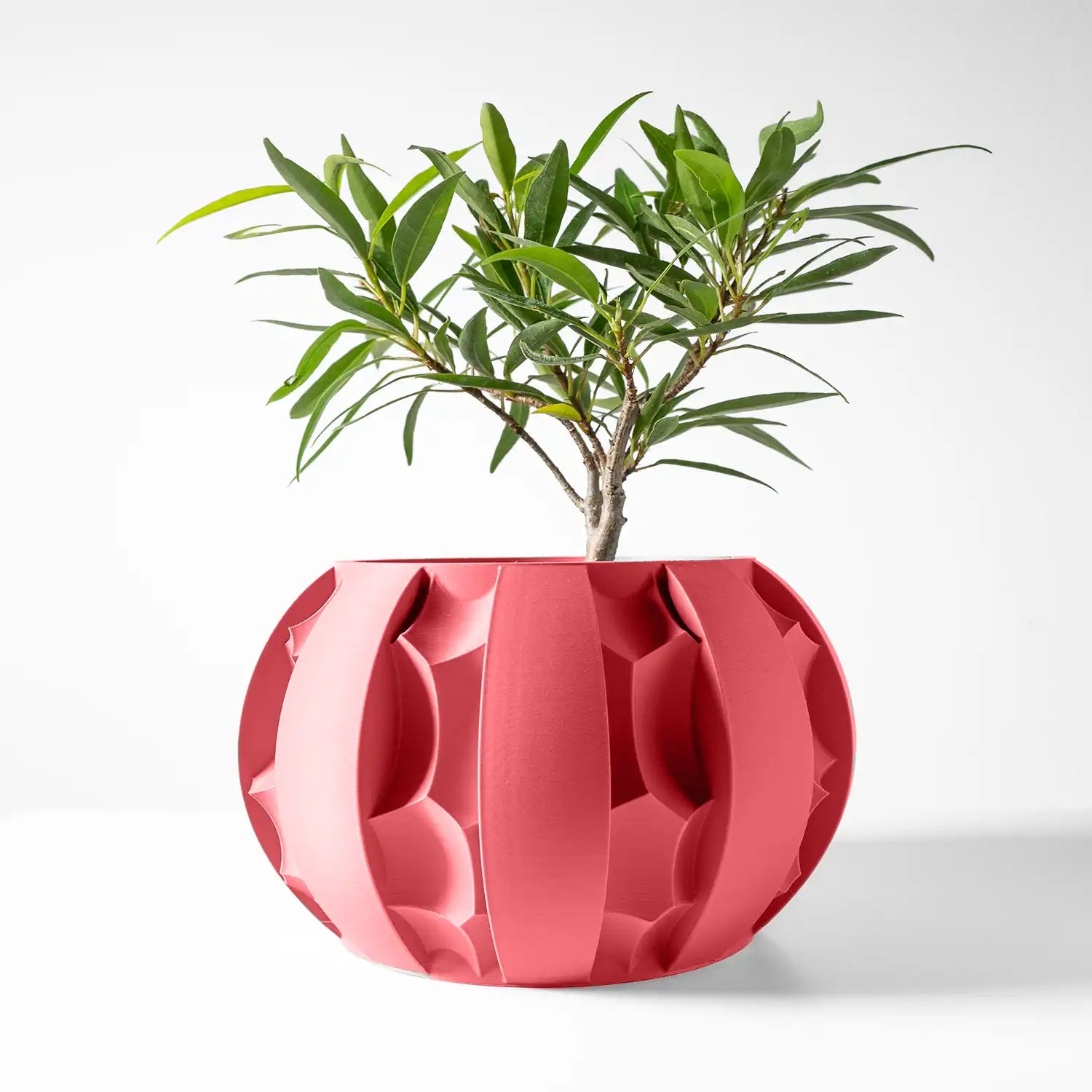 ROCK Planter