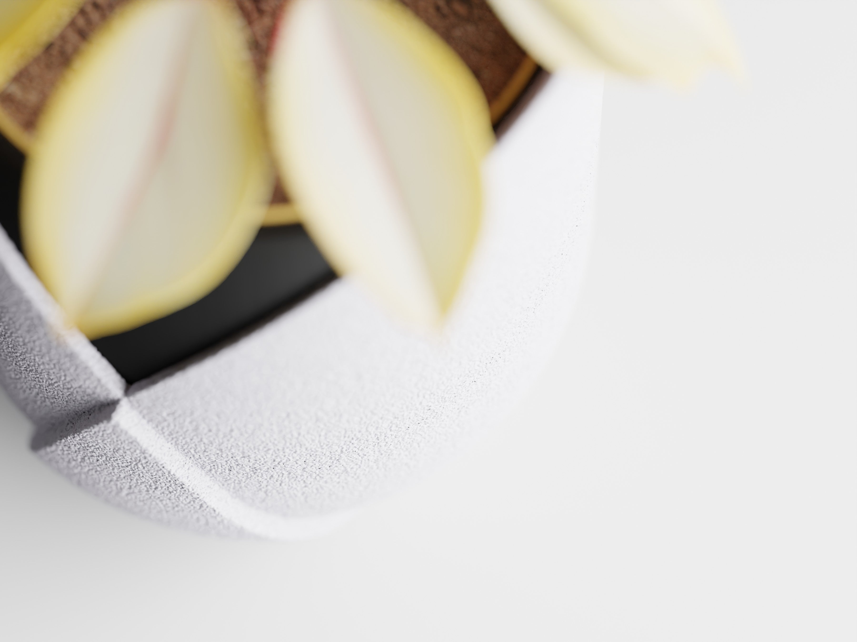 Design minimaliste du cache-pot Elyndra mettant en valeur une plante d’intérieur colorée.